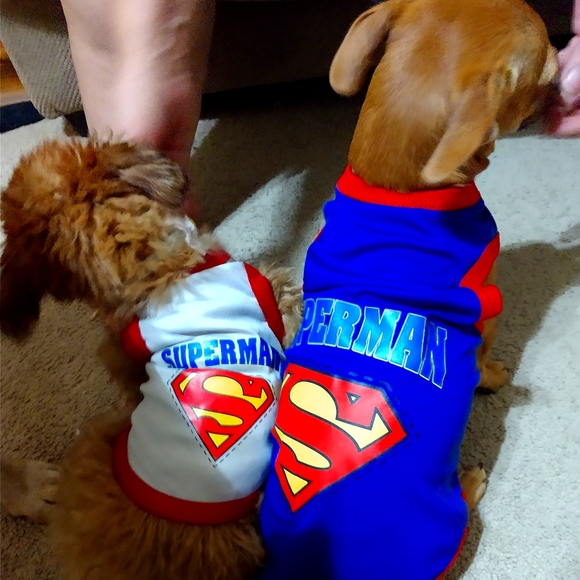 Not for sale - Picture 1 of 1